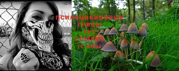 стаф Богородицк