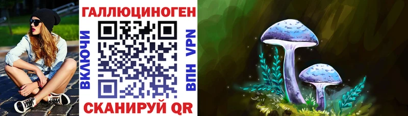 Галлюциногенные грибы GOLDEN TEACHER  сколько стоит  Набережные Челны 